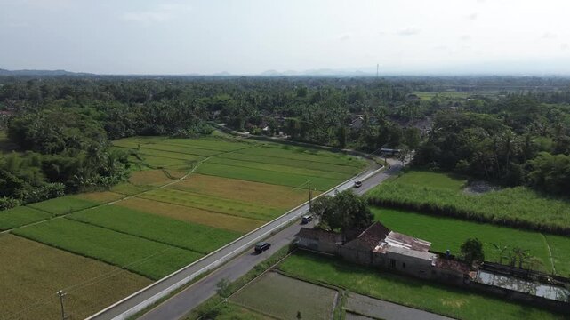 Mataram ditch or van der wijck ditch is visible from the border, it looks beautiful with the rice field landscape in yogyakarta indonesia.