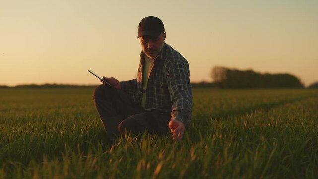 Farmer sitting in green field and touching plants, side view
