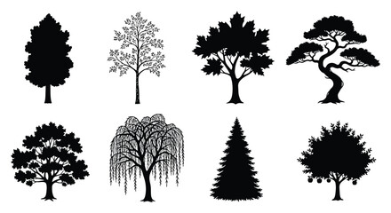 Tree silhouettes collection black vector illustration on white background © Safia512