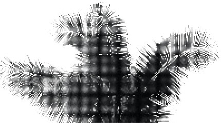 Halftone pattern of palm fronds on a transparent background abstract dot art silhouette tropical vegetation concept. © MDtanjit