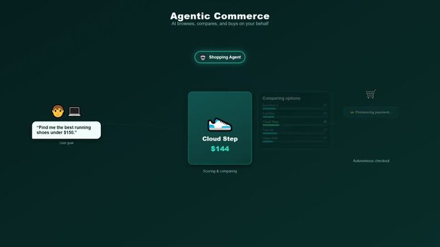Agentic Commerce AI Shopping Agent Automation Autonomous Checkout Product Comparison and Selection for Ecommerce and Online Retail Technology
