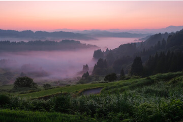 星峠の棚田 © Mugi