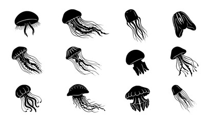 Jellyfish silhouette collection with flowing tentacles marine vector graphics isolated on white background © abdul