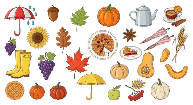 Autumn leaves, pumpkins, and harvest food, fall season concept, thanksgiving background