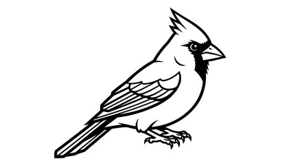 Fototapeta premium Cardinal bird illustration, black and white, simple drawing, wildlife concept
