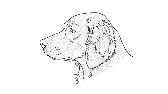 Glass etching style dog head profile isolated on a transparent background, profile stylized canine face