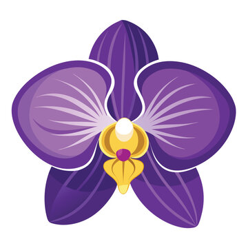 A beautiful illustration of a bouquet of purple orchids on a white background.r illustration.