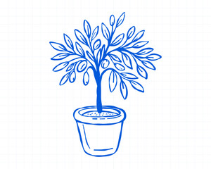 Blue line potted olive tree doodle in hand drawn Mediterranean style for summer travel stickers, coastal decor, garden themes and vacation printables. © Daria