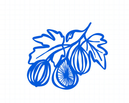Blue line olive branch doodle with leaves and fruit in Mediterranean botanical style for summer food labels, coastal stickers and natural printables set.