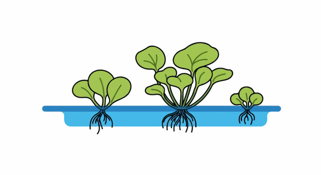 Three cartoon plants with green leaves and visible roots float on blue water