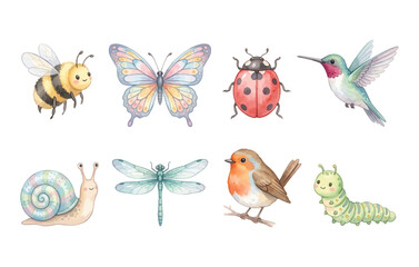 Fototapeta premium Garden Insects and Birds Watercolor Vector Set with Butterfly and Bee