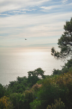 Calm blue sea horizon with distant ships