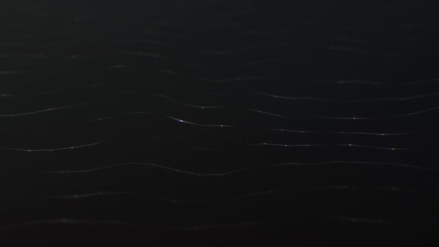 Dots Background Animation Loop