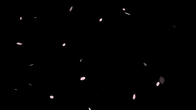 Pink cherry blossom petals falling gracefully on transparent background.
Fall start to end and loop Animation.Easy to use and change color. This work has alpha.Spring animation(4K).