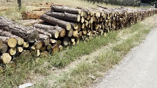 Stacked firewood logs arranged outdoors in a rural area. timber storage, natural material, countryside scene.