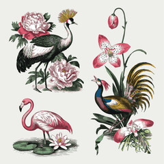 Naklejka premium Isolated on Vintage engrave Crowned Crane and peonies, flamingo and water lily, pheasant and orchid vector art on white background