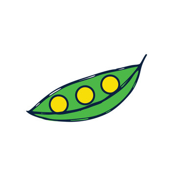 Hand drawn illustration of a single green pea pod with three yellow peas inside.