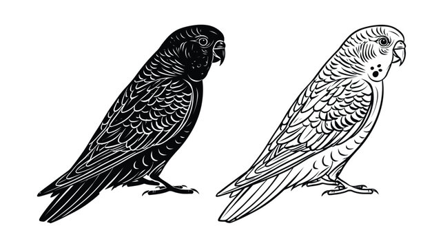Parrot illustration with black and white parrot silhouettes on white background