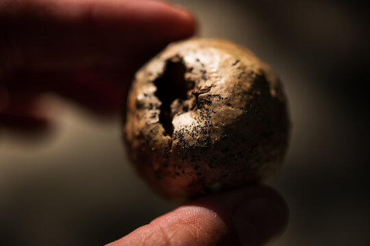 Closeup of a hand holding a brown puffball