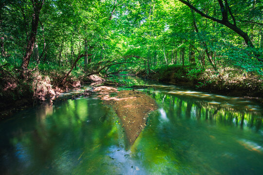 A triangular island surrounded by green forest in the middle of a creek in Medoc Mountain State Park, North Carolina