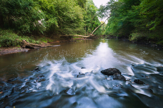 A creek in Medoc Mountain State Park, North Carolina