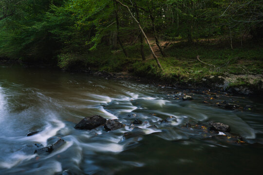A dark trail winds along a creek in Medoc Mountain State Park, North Carolina