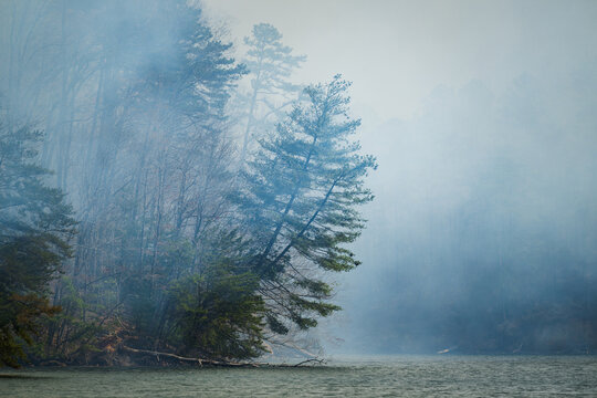 Smoke rises over the water during a controlled burn on a lake in North Carolina