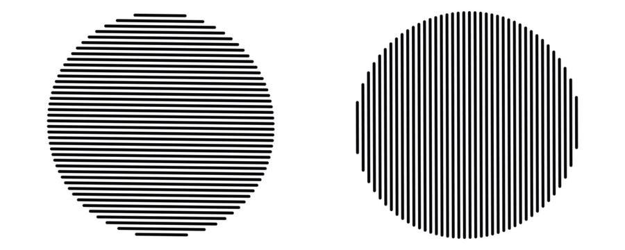 White geometric abstract background overlap layer on bright space with lines effect decoration. Modern graphic design element circles style concept for banner,