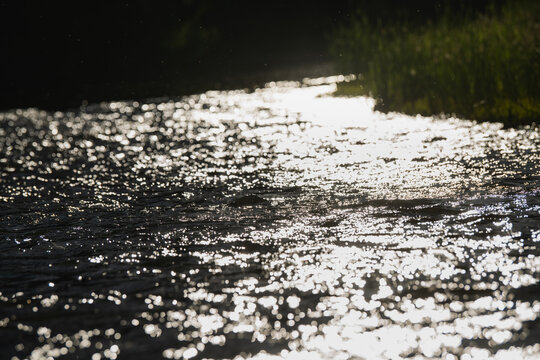 Evening light sparkling on the surface of the Verde River in Arizona