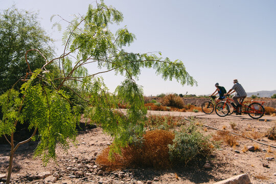 Two cyclist pass a mesquite tree along the Salt River near downtown Phoenix, Arizona