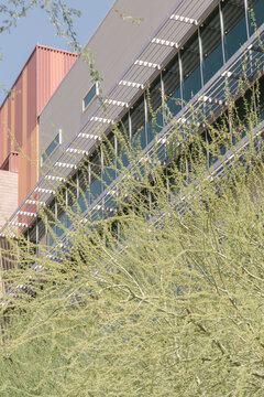 Greening elements and native tree shading on a building Phoenix, Arizona