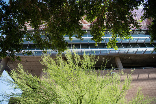 Greening elements and native tree shading in Phoenix, Arizona