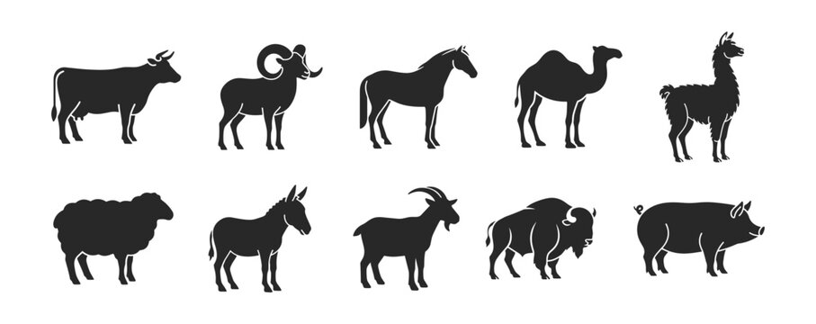 Farm animal icon set with cow ram horse camel llama sheep goat wolf and bison