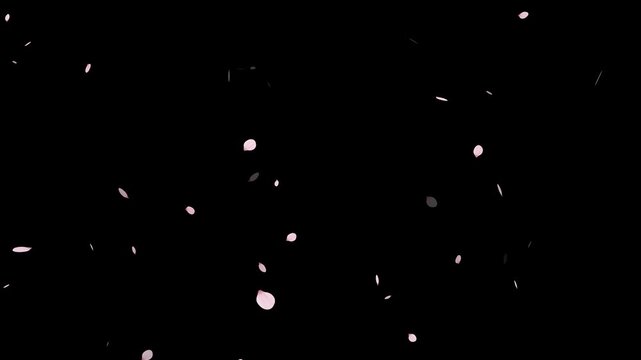 Pink cherry blossom petals falling gracefully on transparent background.
Fall start to end and loop Animation.Easy to use and change color. This work has alpha.Spring animation(4K).