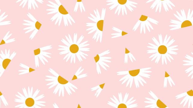 Soft seamless daisy floral animation with gentle motion, pastel pink background, and minimal modern botanical design. Ideal for decorative backgrounds, motion graphics, and creative video use.