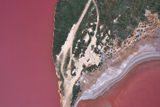 Aerial view of the vibrant pink waters of Syvash lake with sandy paths and green vegetation along the shoreline in Novotroits'kyi district, Kherson Oblast, Ukraine.