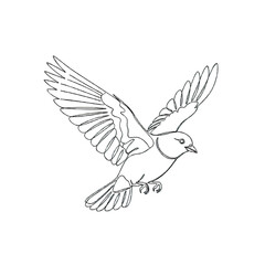 Obraz premium Flying Bird in Motion with Spread Wings