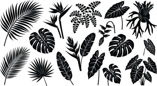 Tropical leaves and exotic flowers black silhouettes collection featuring monstera palm fronds banana leaf and bird of paradise vector