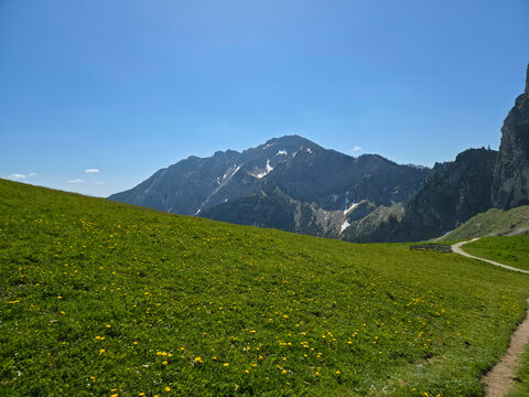 Germany, Refreshing Alpine Meadow Foreground Opening Toward Towering Mountain Peaks Beneath Brilliant Cloudless Summer Skies