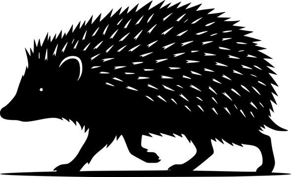 Black silhouette of a hedgehog walking on white background, simple animal illustration for design and wildlife concept
