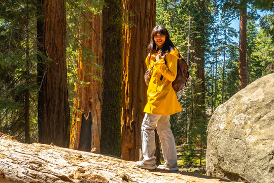 Woman hiking in sequoia national park among giant trees