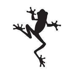 Silhouette of a Frog Climbing © Jonggol