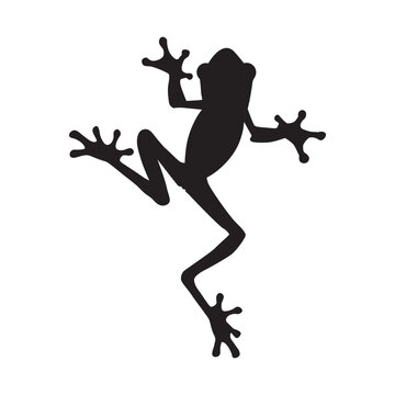 Silhouette of a Frog Climbing