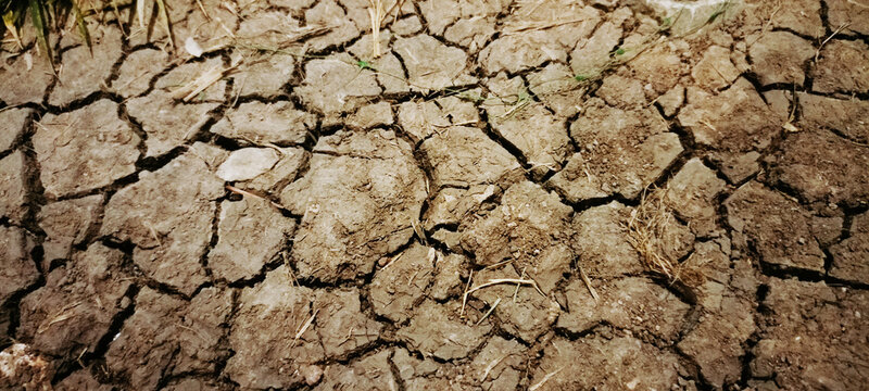 The drought-stricken land shows cracks and dryness in a rural area under the bright midday sunlight.
