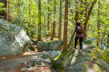 Fototapeta premium Woman hiking mist trail in yosemite national park forest