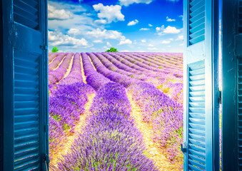 Window to lavender field © neirfy