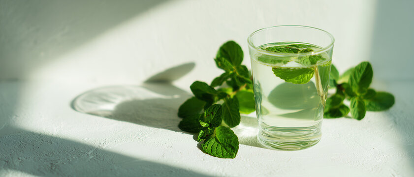 MENTA