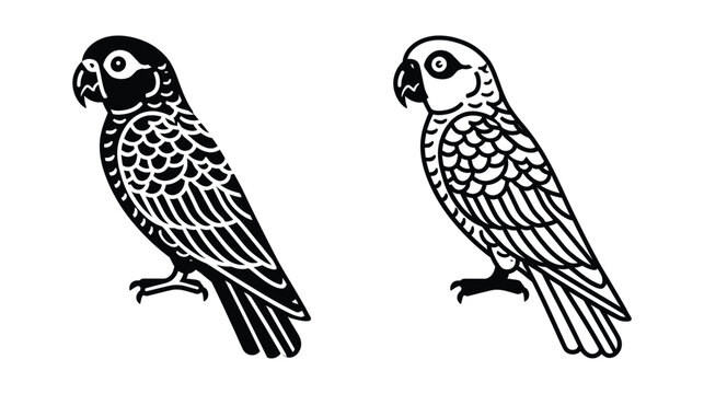 Parrot illustration featuring two black and white parrots in profile view