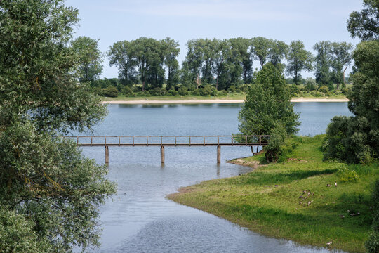 Wooden Footbridge Over Water in Ooijse Bandijk, Netherlands