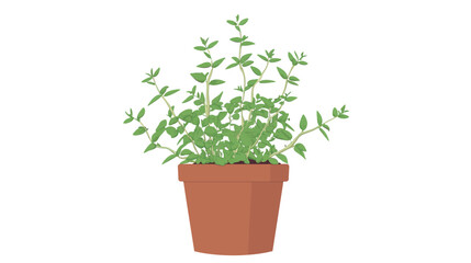 Obraz premium Stylized lush green basil plant in brown terracotta pot, neatly contained against plain white background